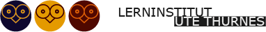 Lerninstitut Ute Thurnes Logo